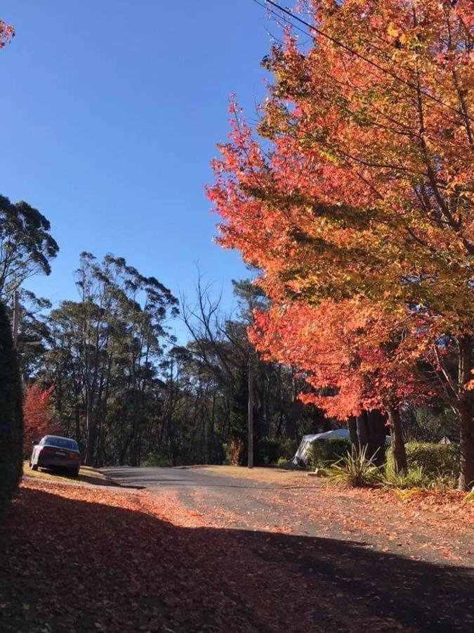 Newly Built - Blue On Albion Katoomba Exterior foto